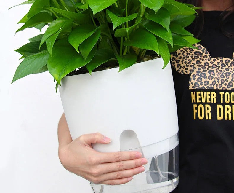 Self-Watering Transparent Planter – Dual Layer Pot