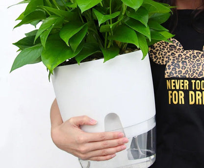 Self-Watering Transparent Planter – Dual Layer Pot