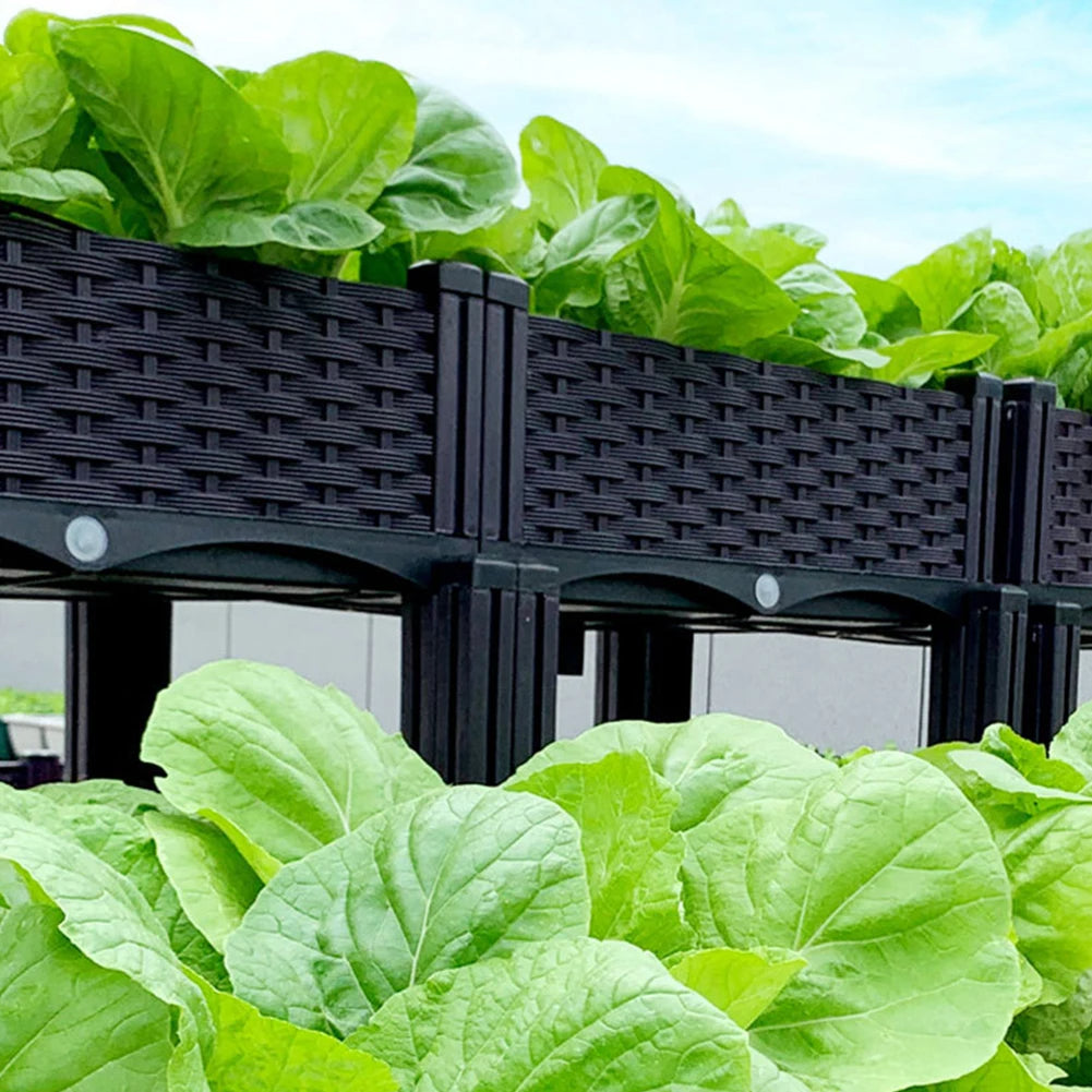 Raised Planting Container – Drainage Propagation Box