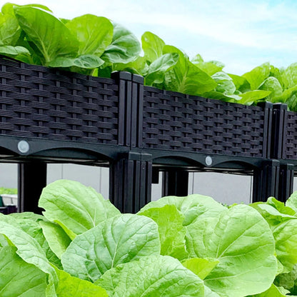 Raised Planting Container – Drainage Propagation Box