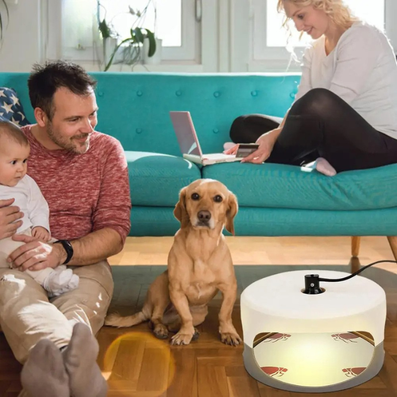 Indoor Bed Bug Trap for Home Protection