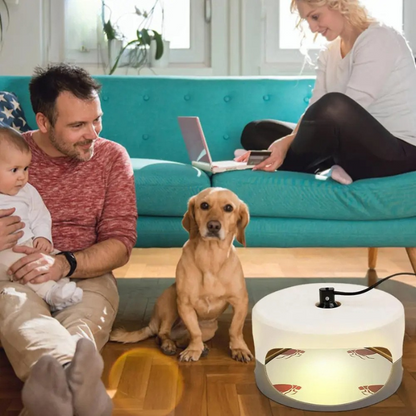 Indoor Bed Bug Trap for Home Protection