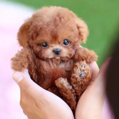 Interactive Plush Dog Toy – Realistic Walking Puppy