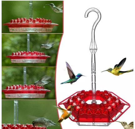 Ant Proof Hummingbird Feeder – Outdoor Hanging with Perch