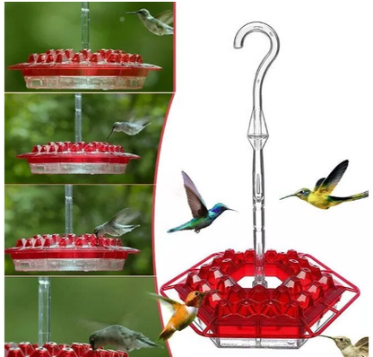 Ant Proof Hummingbird Feeder – Outdoor Hanging with Perch