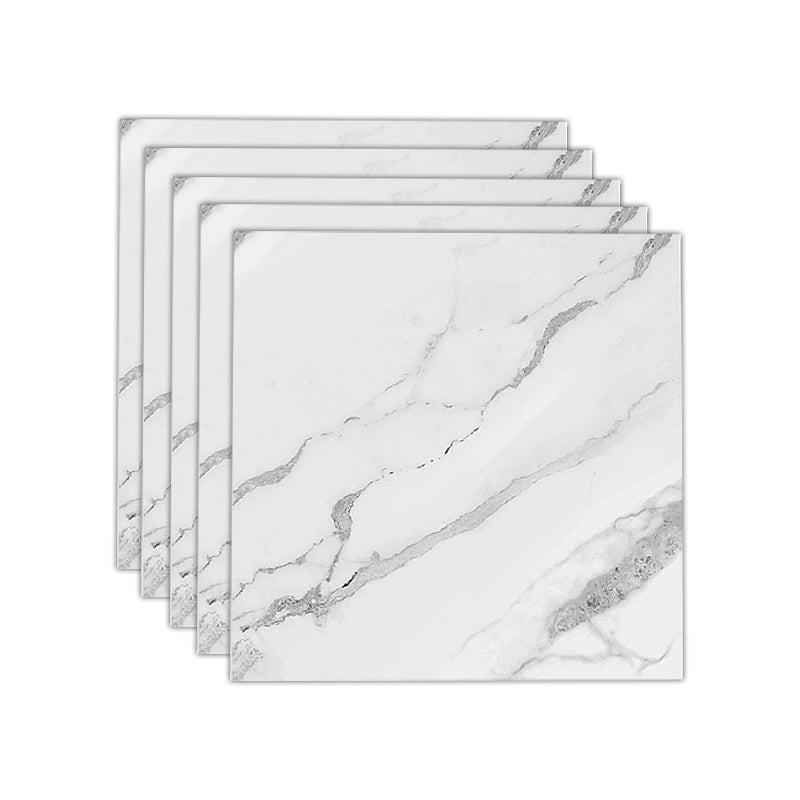 Peel and Stick Vinyl Plank Flooring Porcelain Look