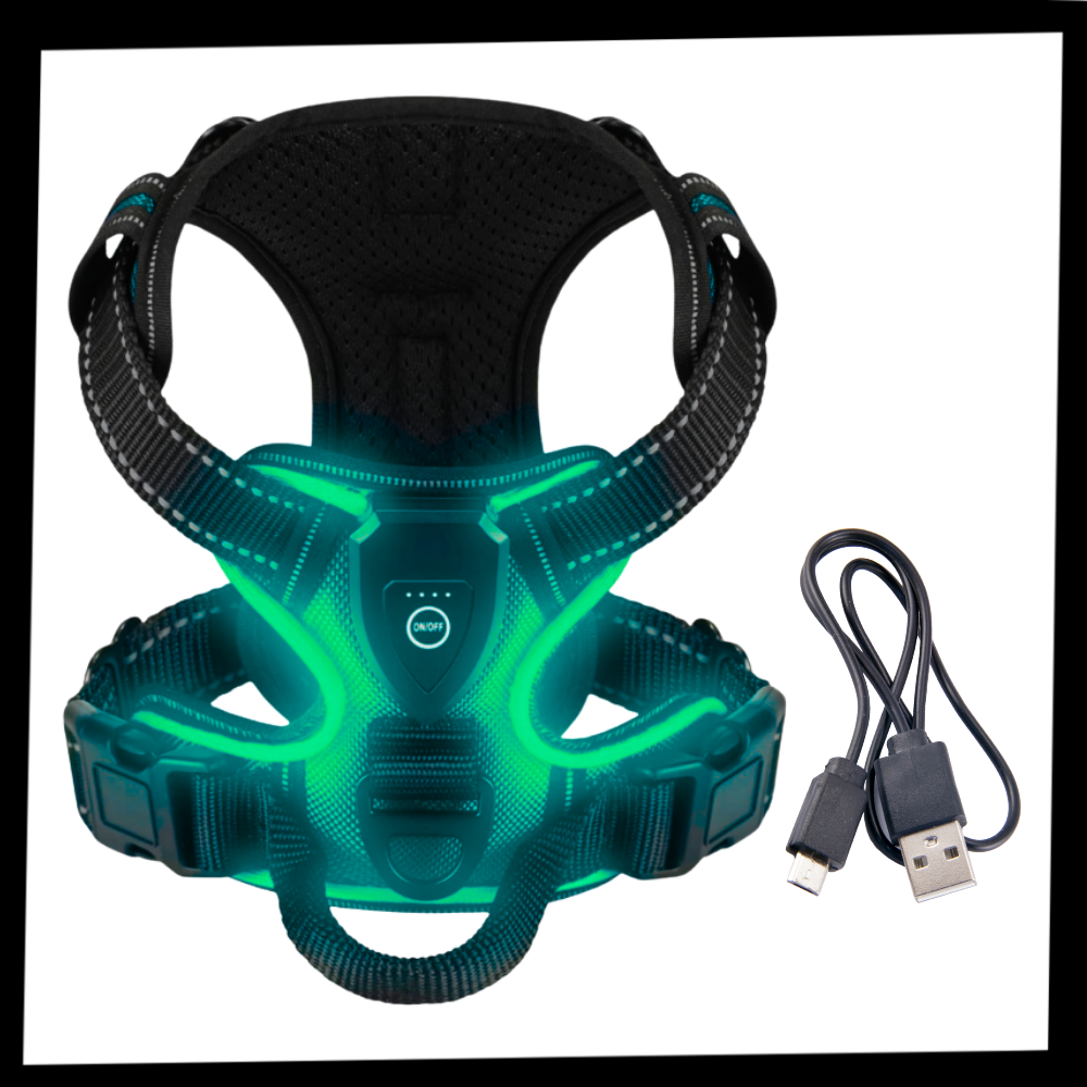 LED No-Pull Dog Harness – Adjustable Reflective Pet Harness with Safety Lights for Night Walking