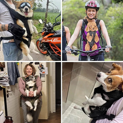 Hands-Free Front Dog Carrier Backpack for Small Pets