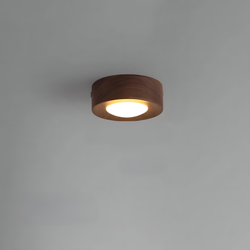 Walnut Ceiling Light LED Spotlight Modern Fixture