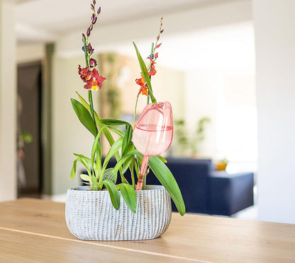 Self-Watering Plant Watering Globes – Tulip Drip Set