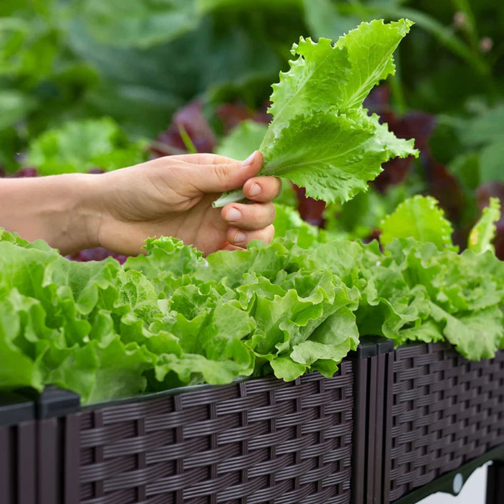 Raised Planting Container – Drainage Propagation Box