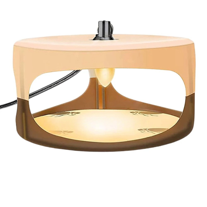 Indoor Bed Bug Trap for Home Protection