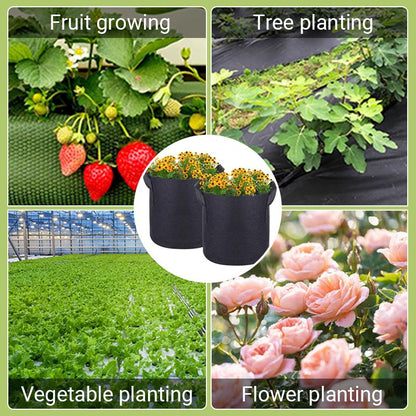 Felt Fabric Planting Bag – Breathable for Healthy Roots
