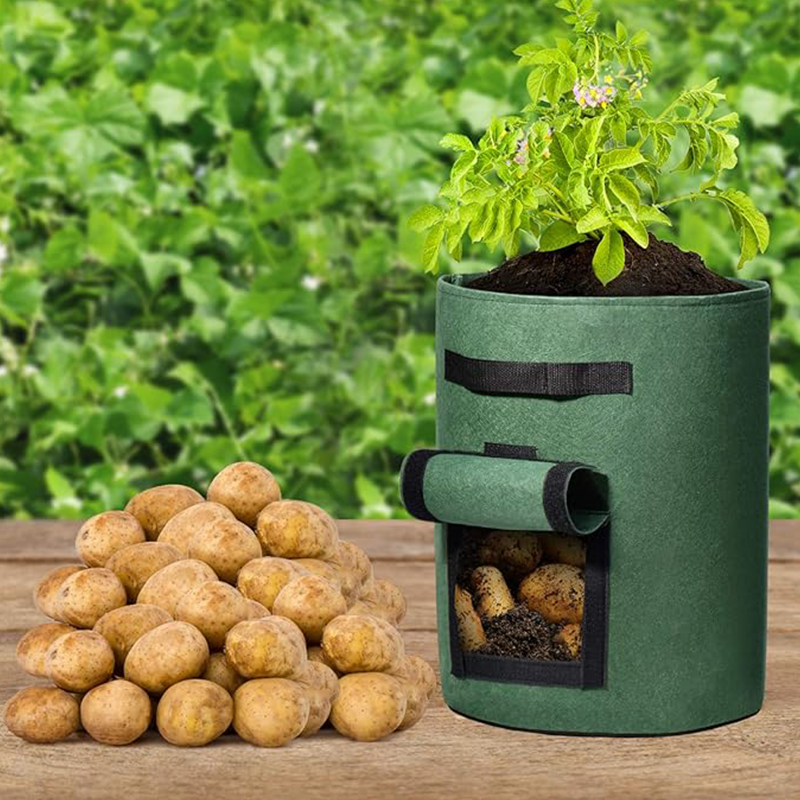 Potato planting bag with harvest window