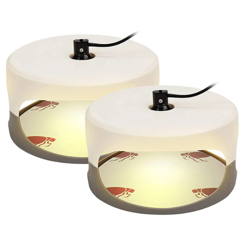 Indoor Bed Bug Trap for Home Protection