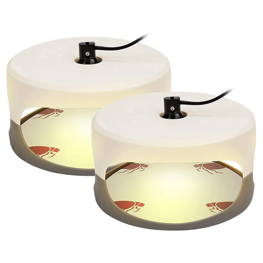 Indoor Bed Bug Trap for Home Protection
