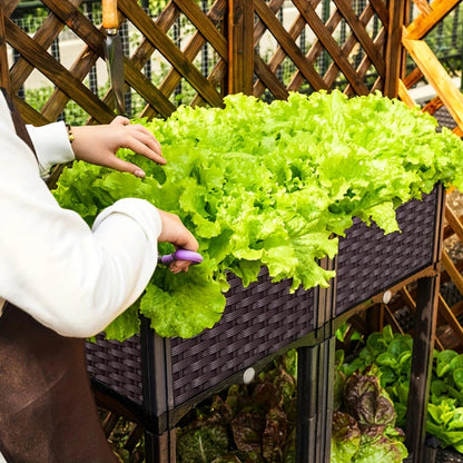 Raised Planting Container – Drainage Propagation Box