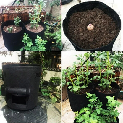 Potato planting bag with harvest window