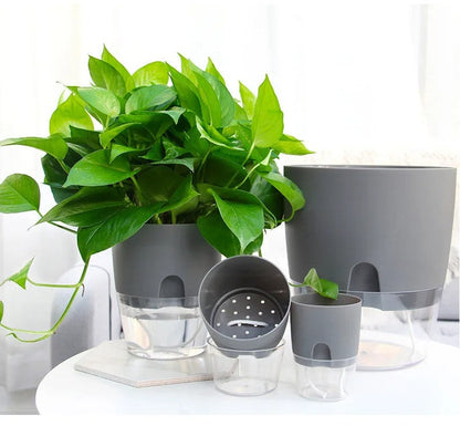 Self-Watering Transparent Planter – Dual Layer Pot
