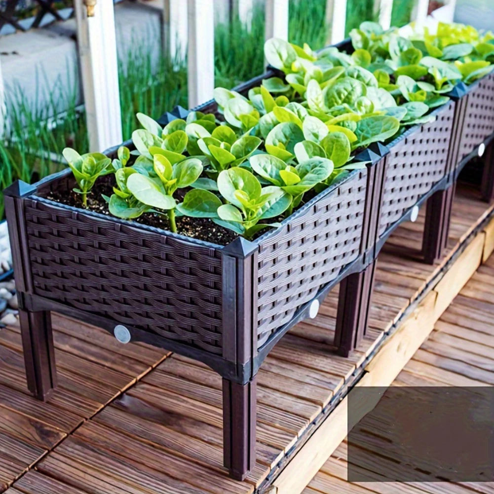 Raised Planting Container – Drainage Propagation Box