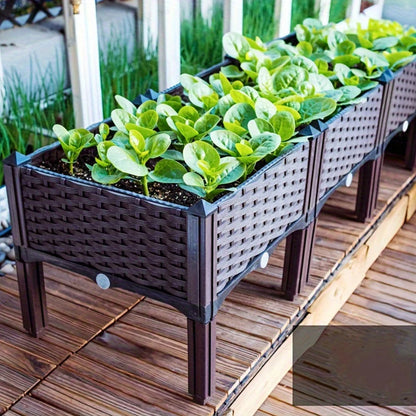 Raised Planting Container – Drainage Propagation Box