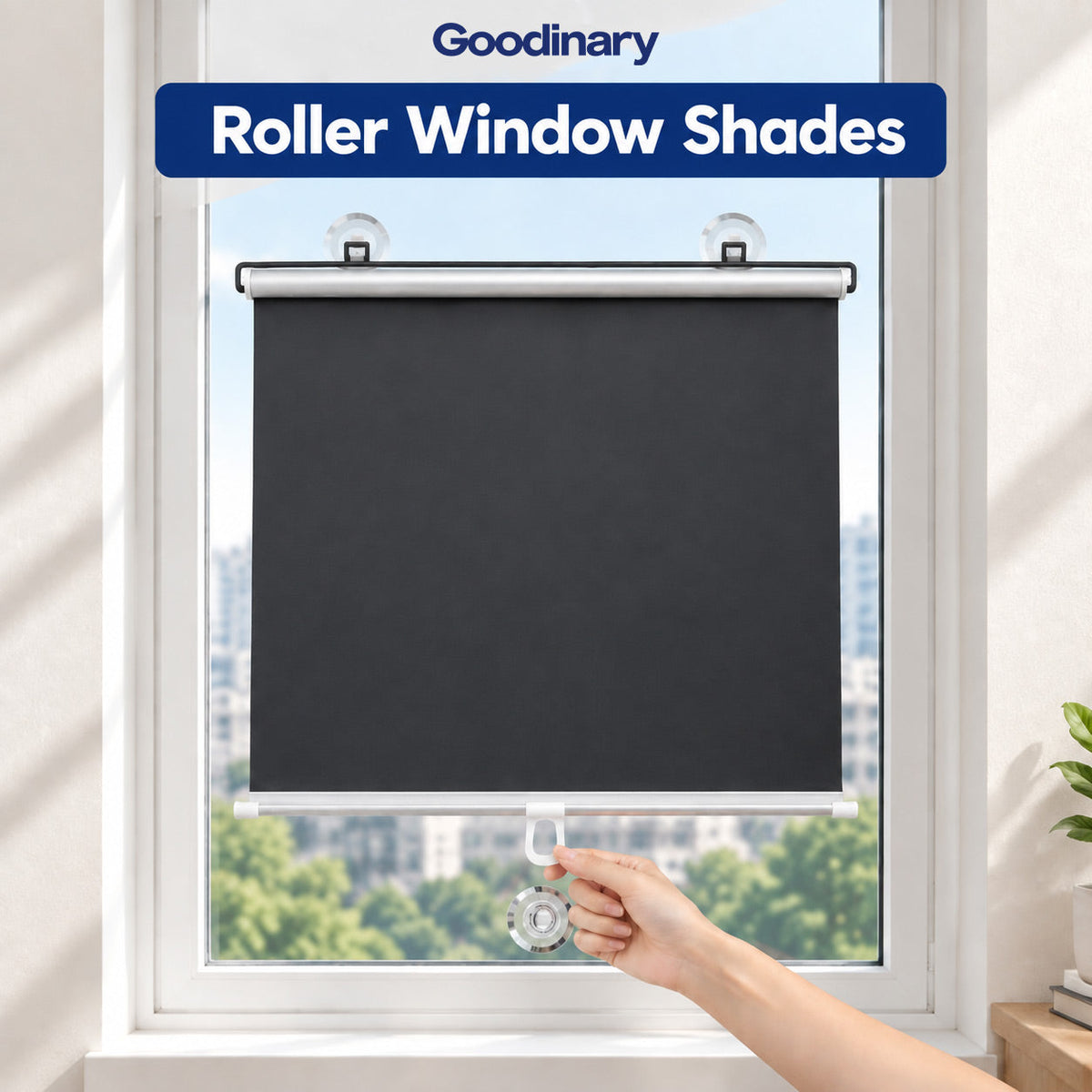 Roller Window Shades
