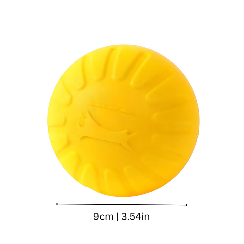 Dog Frisbee Toy - Floating Outdoor Fetch Disc