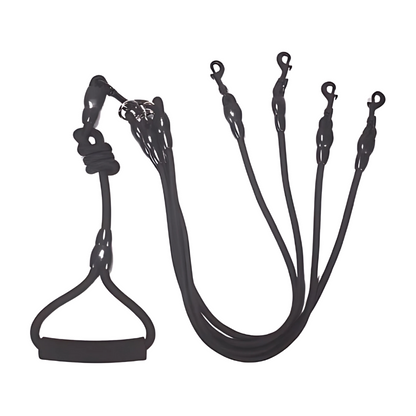 Dual Dog Leash Handle - No-Tangle Walking Grip