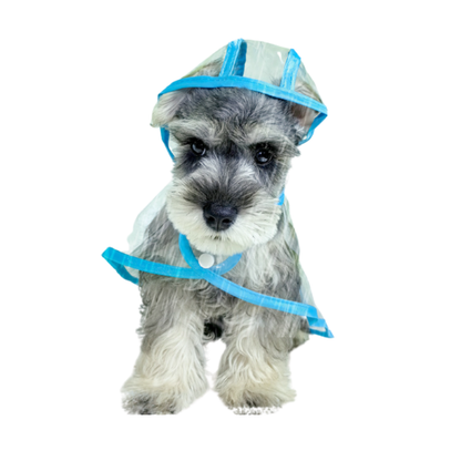 Waterproof Dog Raincoat - Transparent Pet Jacket
