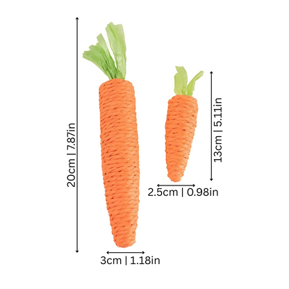 Carrot Cat Toy Interactive Kitten Chew Toy