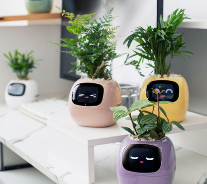 Smart AI Planter Pot – App-Controlled Self-Watering Planter