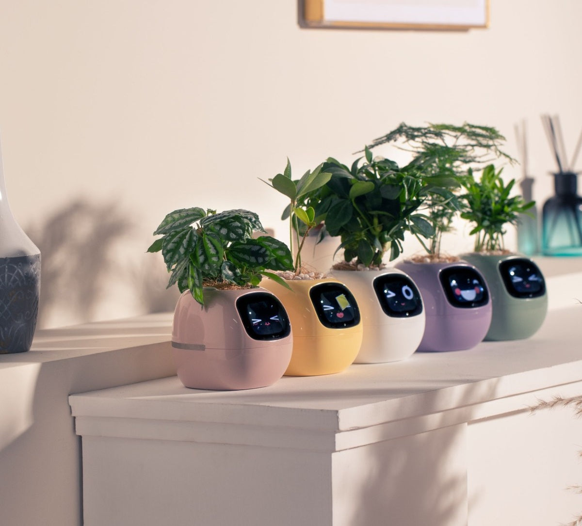 Smart AI Planter Pot – App-Controlled Self-Watering Planter