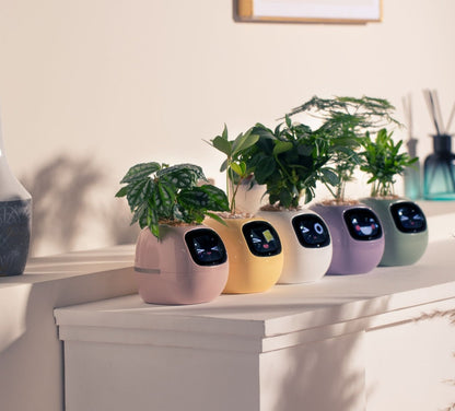 Smart AI Planter Pot – App-Controlled Self-Watering Planter