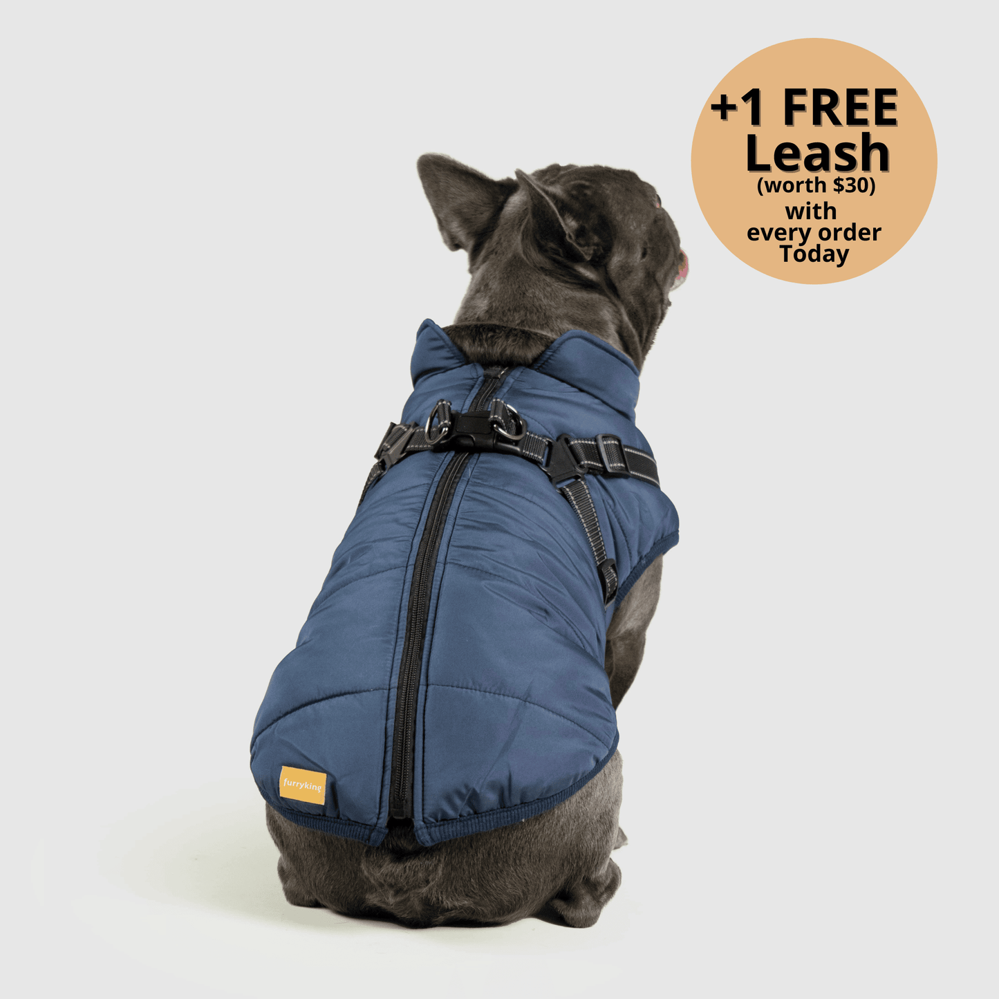 3-in-1 Dog Winter Jacket with Built-In Harness