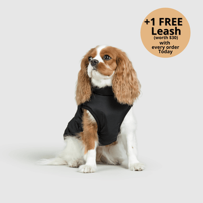 3-in-1 Dog Winter Jacket with Built-In Harness