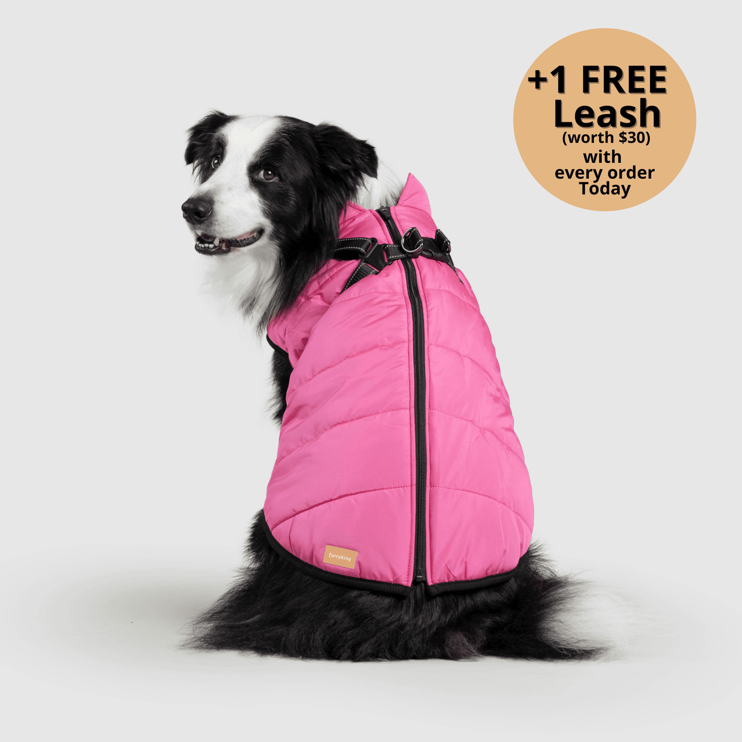 3-in-1 Dog Winter Jacket with Built-In Harness