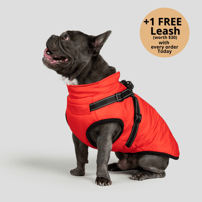 3-in-1 Dog Winter Jacket with Built-In Harness