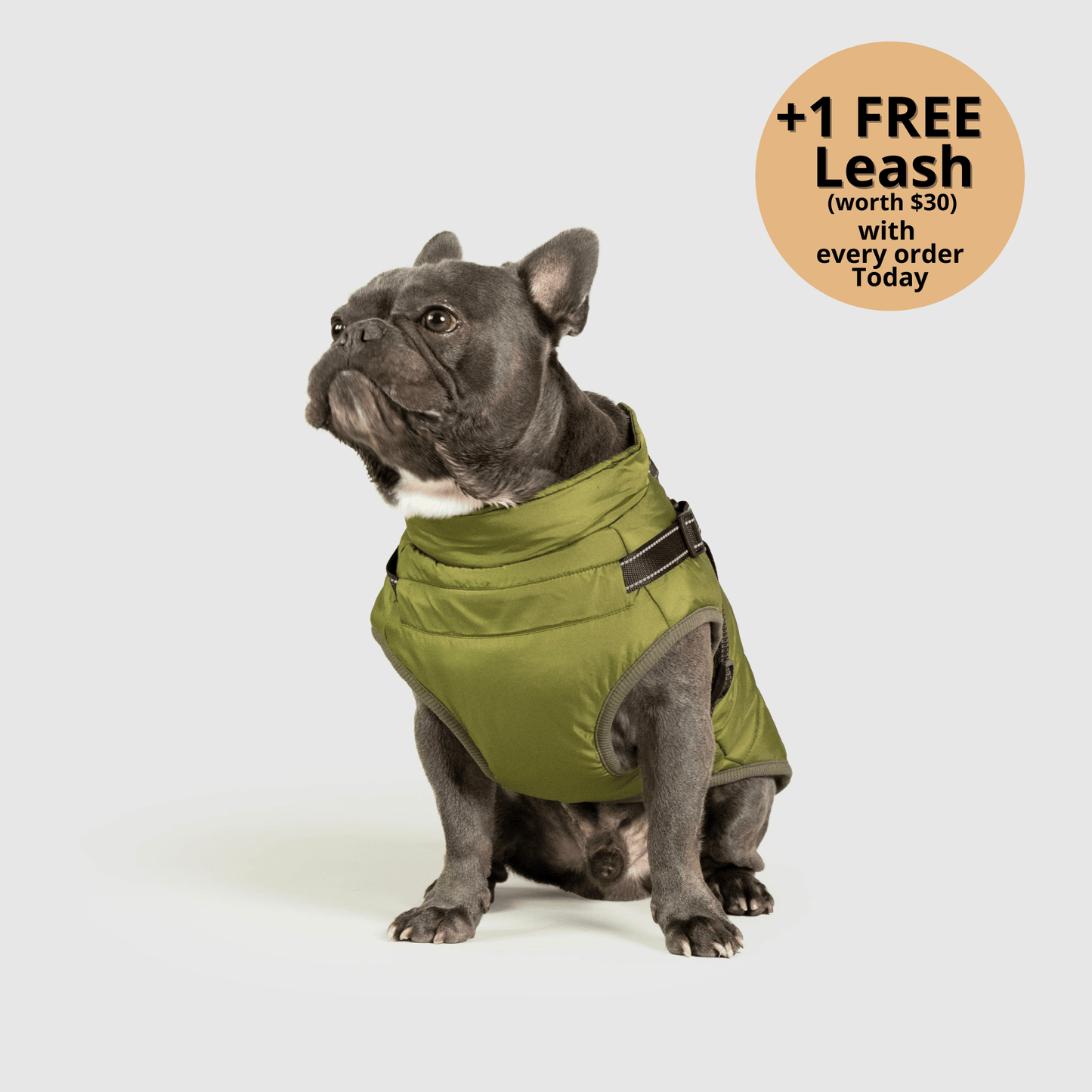 3-in-1 Dog Winter Jacket with Built-In Harness