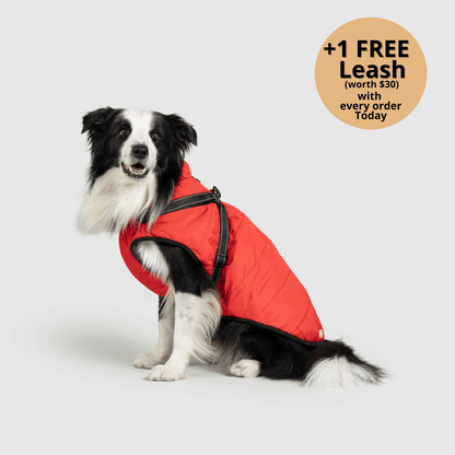 3-in-1 Dog Winter Jacket with Built-In Harness