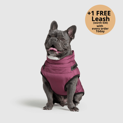 3-in-1 Dog Winter Jacket with Built-In Harness