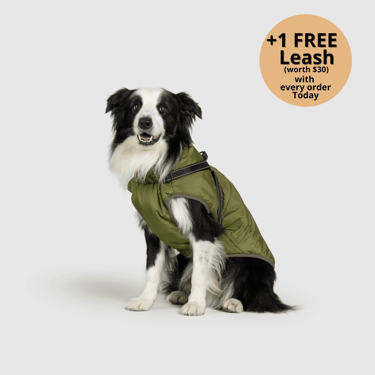 3-in-1 Dog Winter Jacket with Built-In Harness