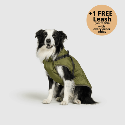 3-in-1 Dog Winter Jacket with Built-In Harness