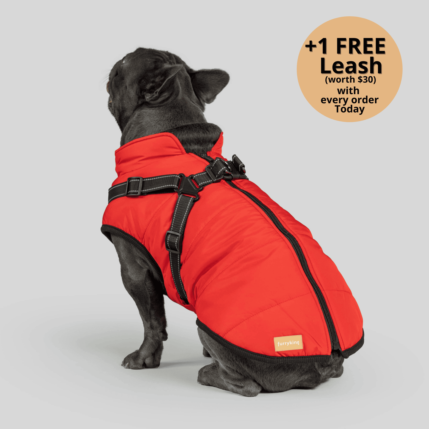 3-in-1 Dog Winter Jacket with Built-In Harness