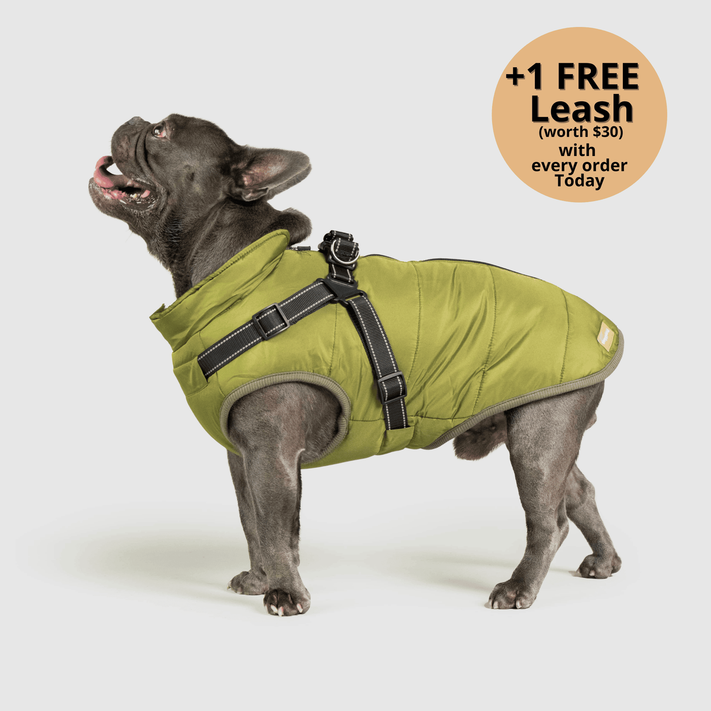3-in-1 Dog Winter Jacket with Built-In Harness