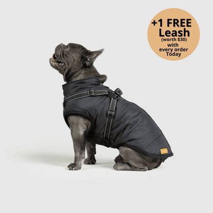 3-in-1 Dog Winter Jacket with Built-In Harness
