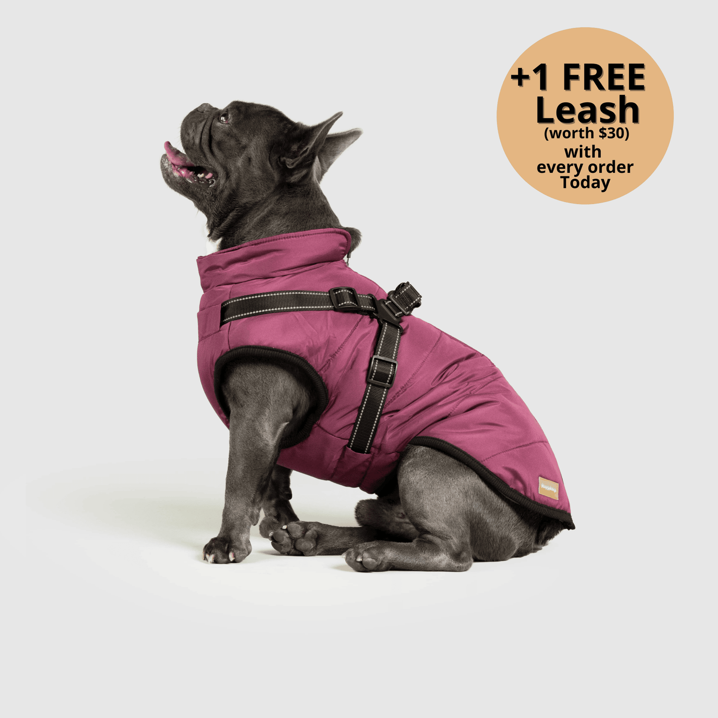 3-in-1 Dog Winter Jacket with Built-In Harness