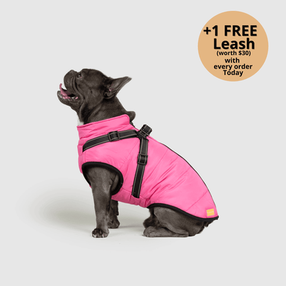 3-in-1 Dog Winter Jacket with Built-In Harness