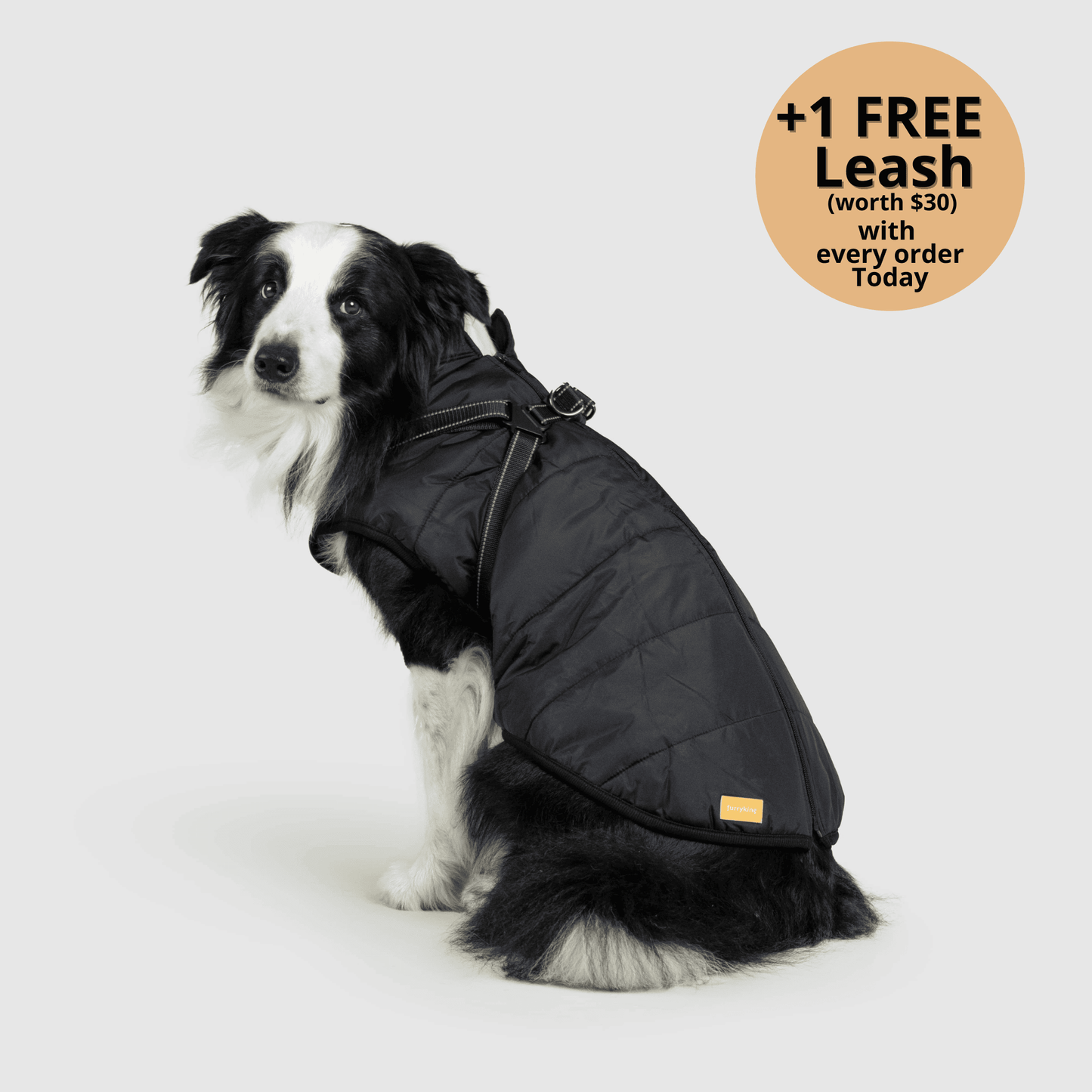3-in-1 Dog Winter Jacket with Built-In Harness