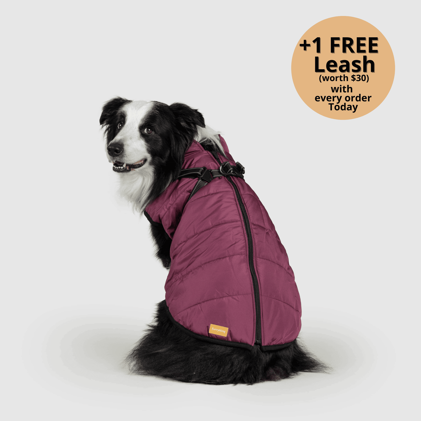 3-in-1 Dog Winter Jacket with Built-In Harness