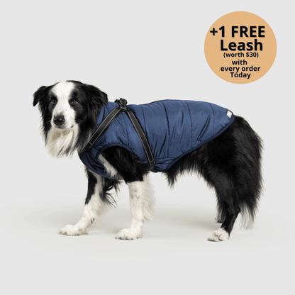 3-in-1 Dog Winter Jacket with Built-In Harness
